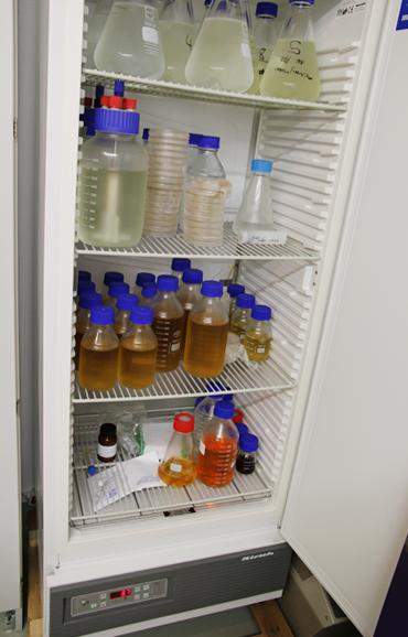 Kirsch Labor-Kühlschrank